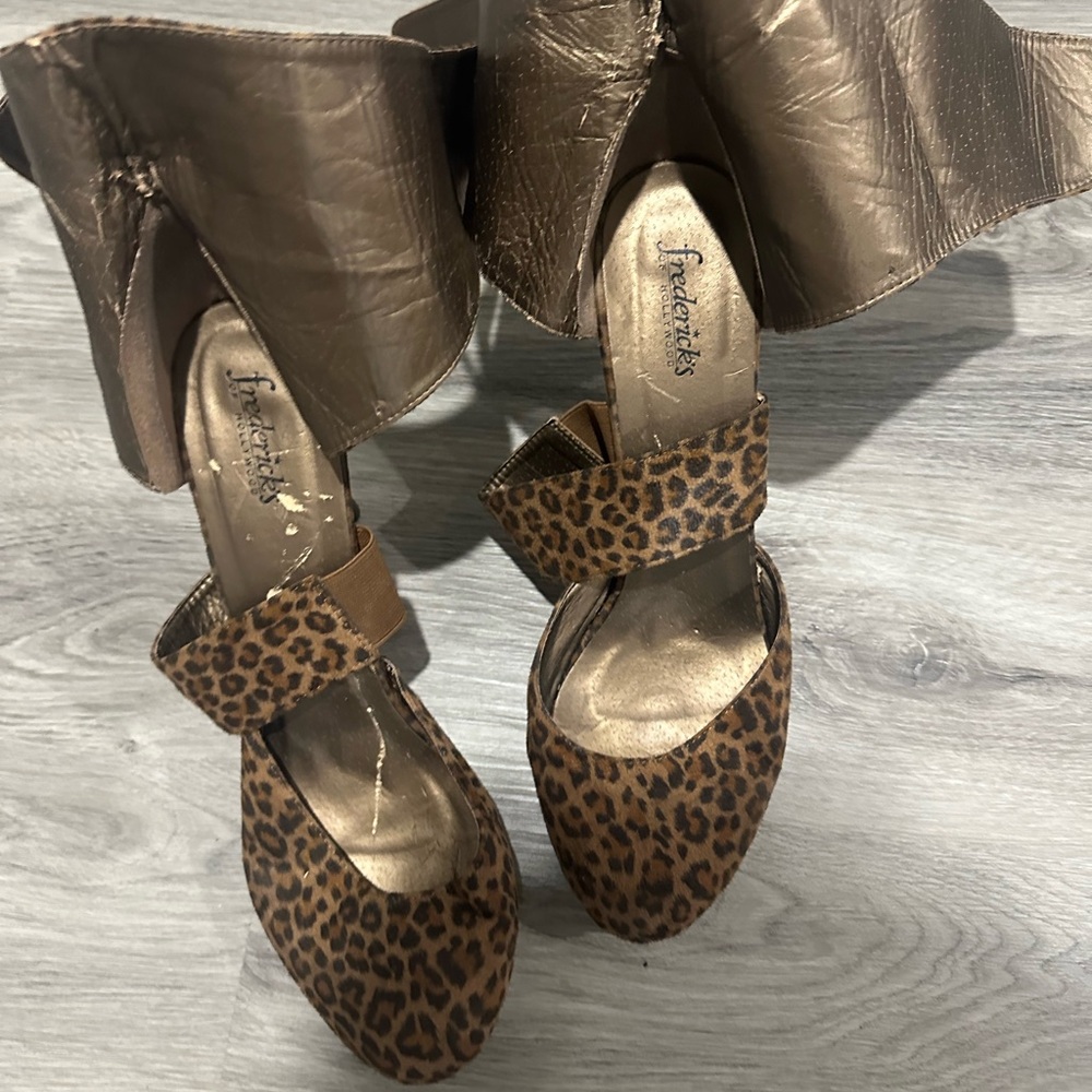 Leopard platform - Picture 2 of 5